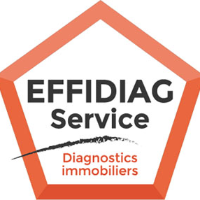 Diagnostic avant travaux sur EFFIDIAG SERVICE